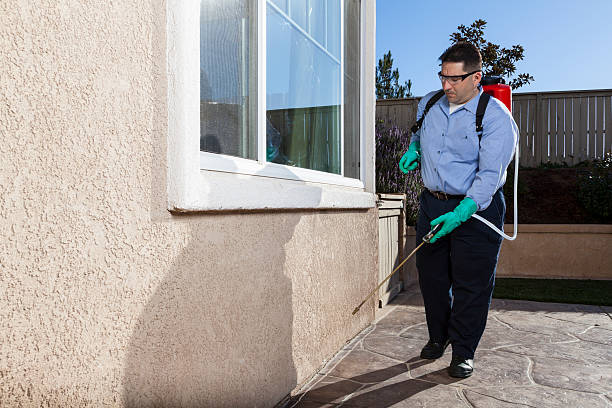 Best Pest Prevention Services  in Lander, WY